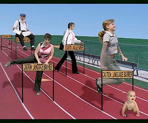 Julia Bedriy, Assimilation Paradox